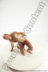 Fighting reference poses of Peter